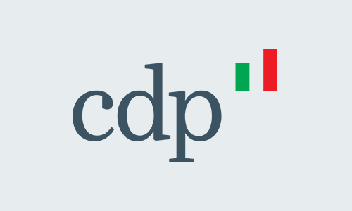 Partner - CDP
